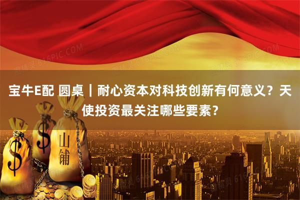 宝牛E配 圆桌｜耐心资本对科技创新有何意义？天使投资最关注哪些要素？
