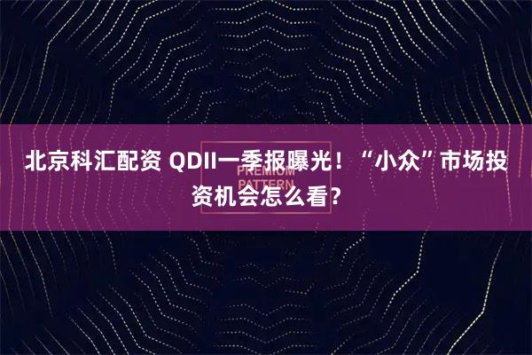 北京科汇配资 QDII一季报曝光！“小众”市场投资机会怎么看？