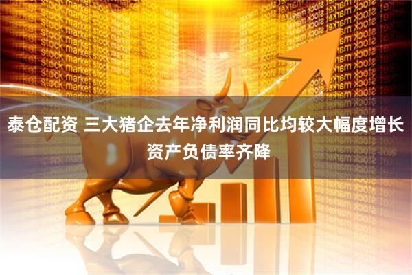 泰仓配资 三大猪企去年净利润同比均较大幅度增长 资产负债率齐降