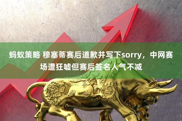 蚂蚁策略 穆塞蒂赛后道歉并写下sorry，中网赛场遭狂嘘但赛后签名人气不减