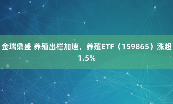 金瑞鼎盛 养殖出栏加速,养殖ETF(159865)涨超1.5%