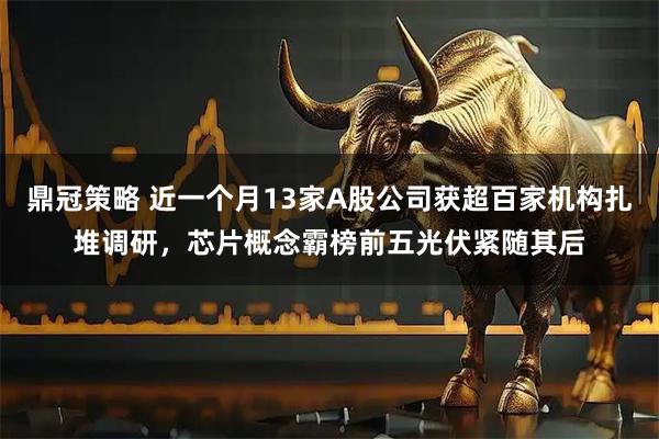 鼎冠策略 近一个月13家A股公司获超百家机构扎堆调研，芯片概念霸榜前五光伏紧随其后