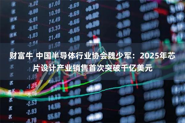 财富牛 中国半导体行业协会魏少军：2025年芯片设计产业销售首次突破千亿美元